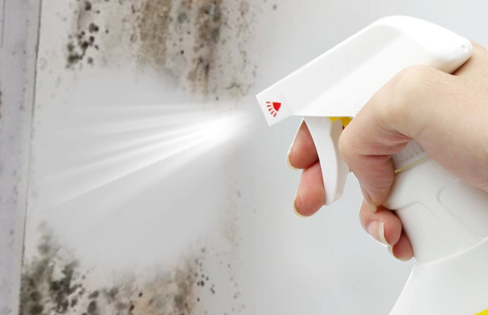 浴室霉斑清除 浴室霉斑清除