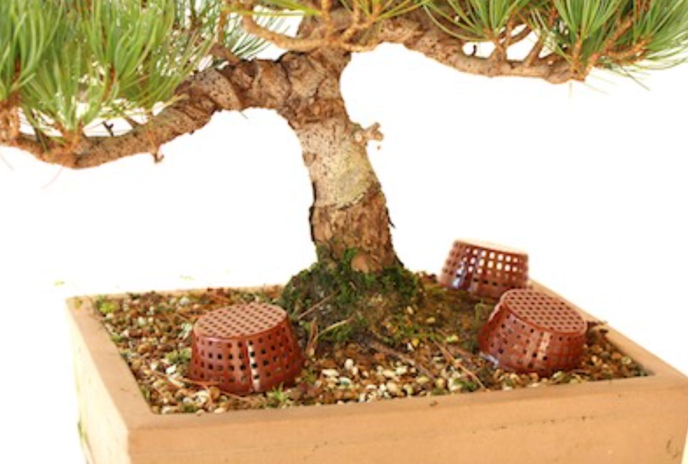 盆栽肥料推薦 盆栽肥料推薦