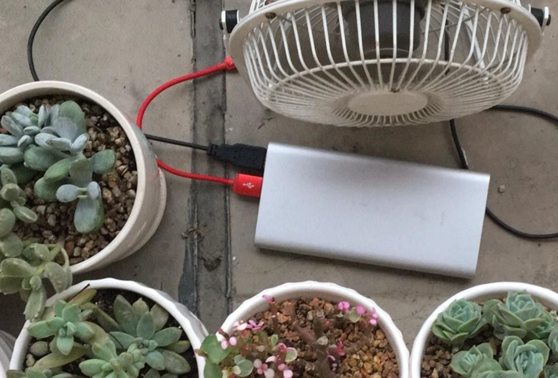 多肉通風 多肉通風