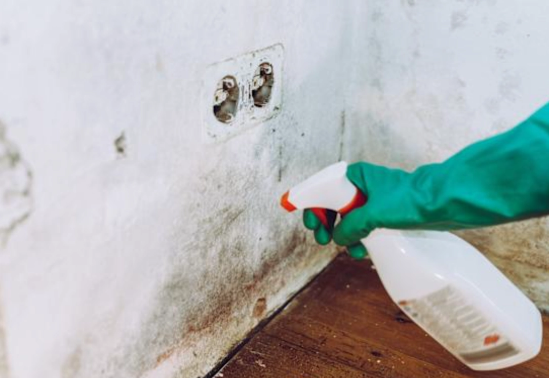 除霉斑方法 除霉斑方法