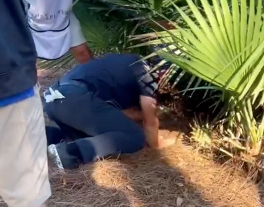 夢境解析 自我探索 夢境解析 自我探索