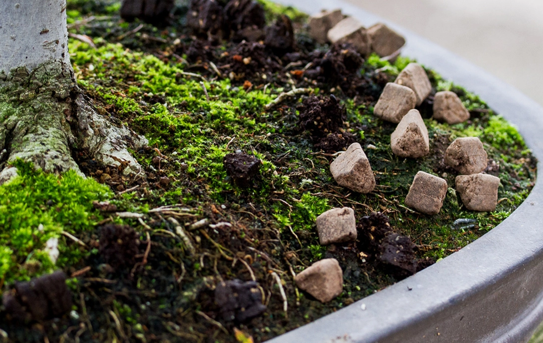 盆栽肥料推薦 盆栽肥料推薦