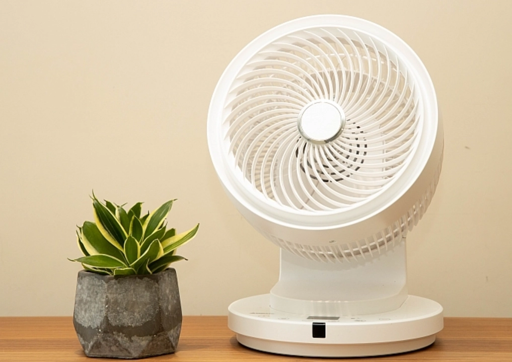 多肉降溫 多肉降溫