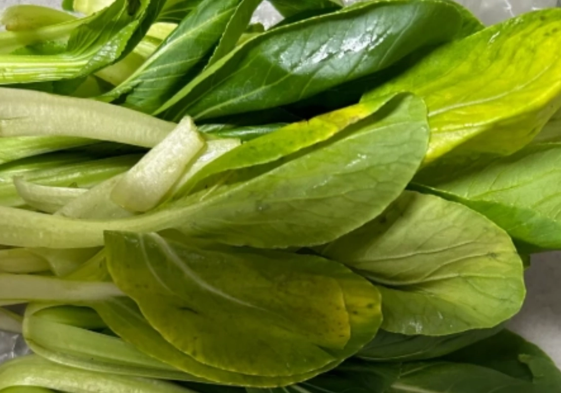 青菜變黃處理 青菜變黃處理