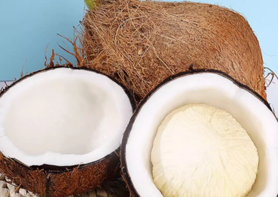椰子肉營養