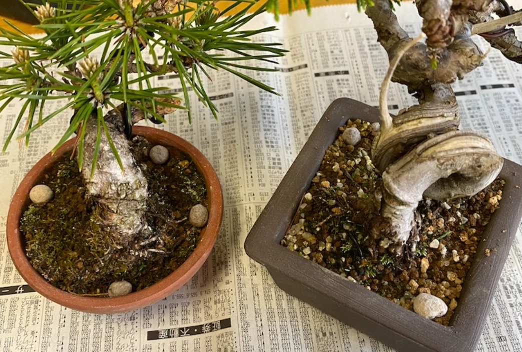 有機肥料 有機肥料