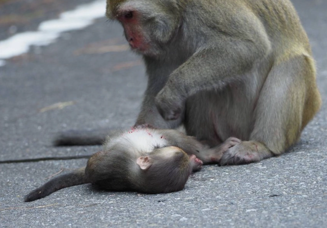 心理暗示 心理暗示