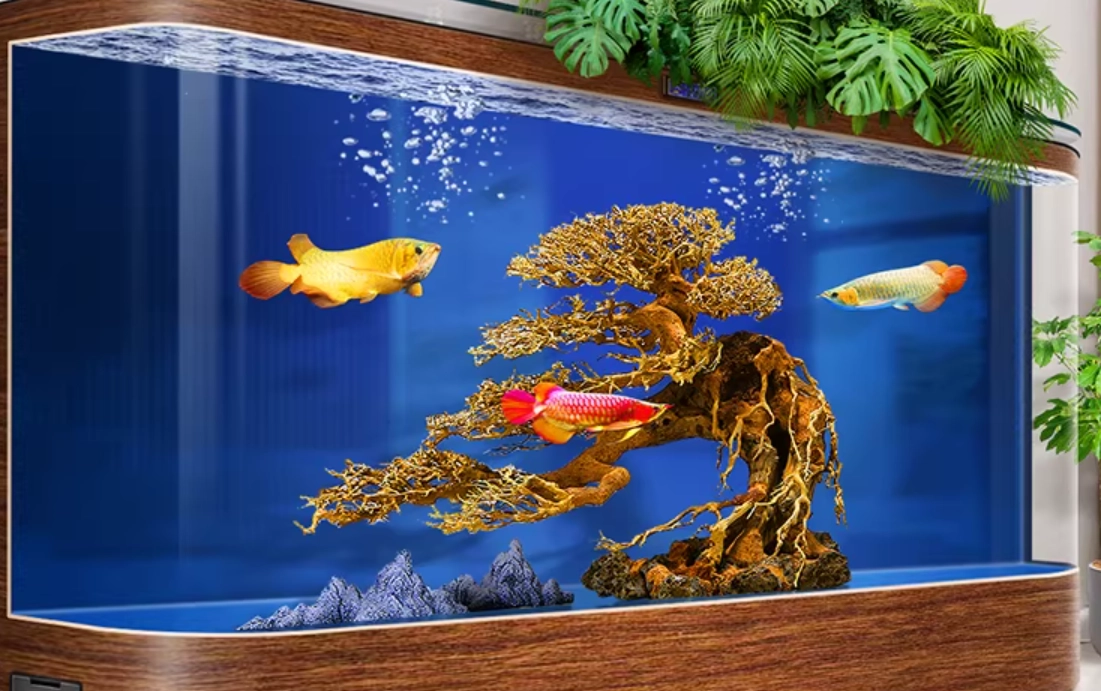 台北夢幻水族館