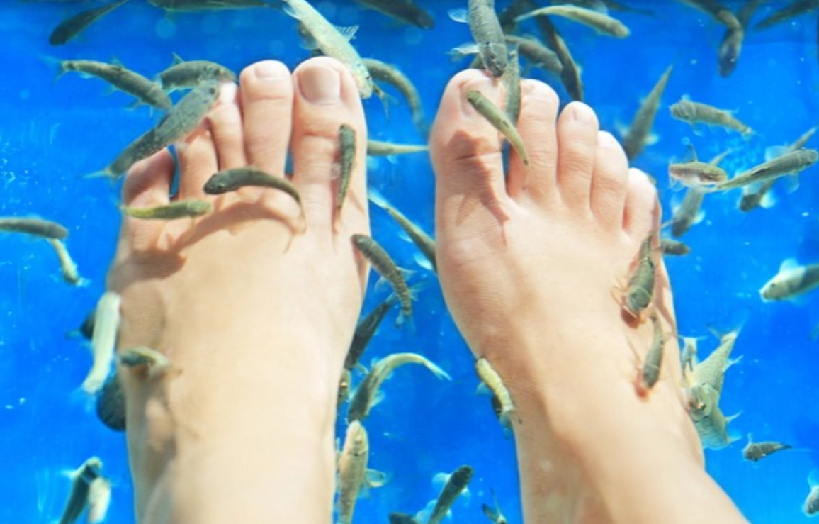 魚咬腳夢境意思 魚咬腳夢境意思