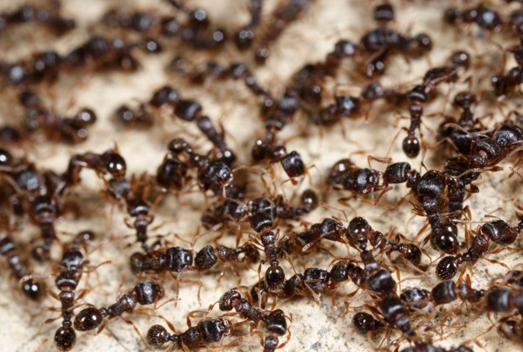 夢境解讀 台灣 夢境解讀 台灣