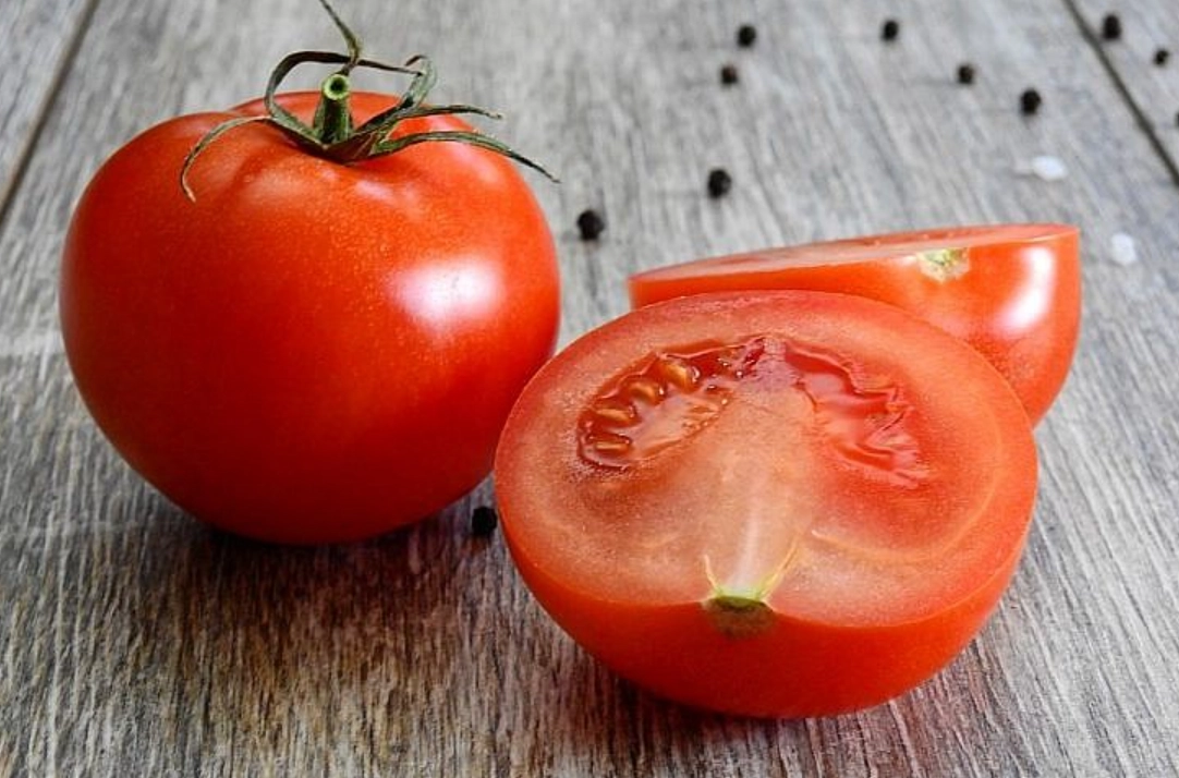番茄品種推薦 番茄品種推薦