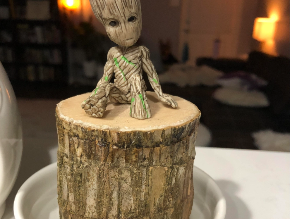 巴西木照顧 巴西木照顧