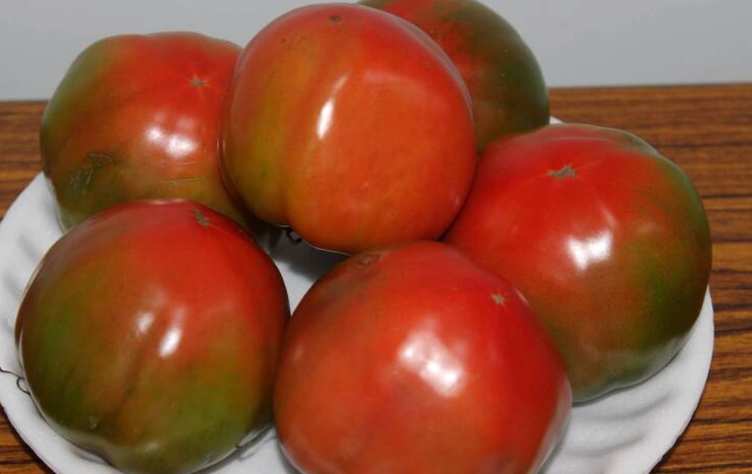 台灣番茄