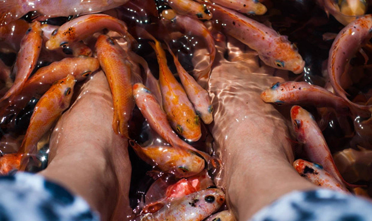 夢境解讀技巧 夢境解讀技巧