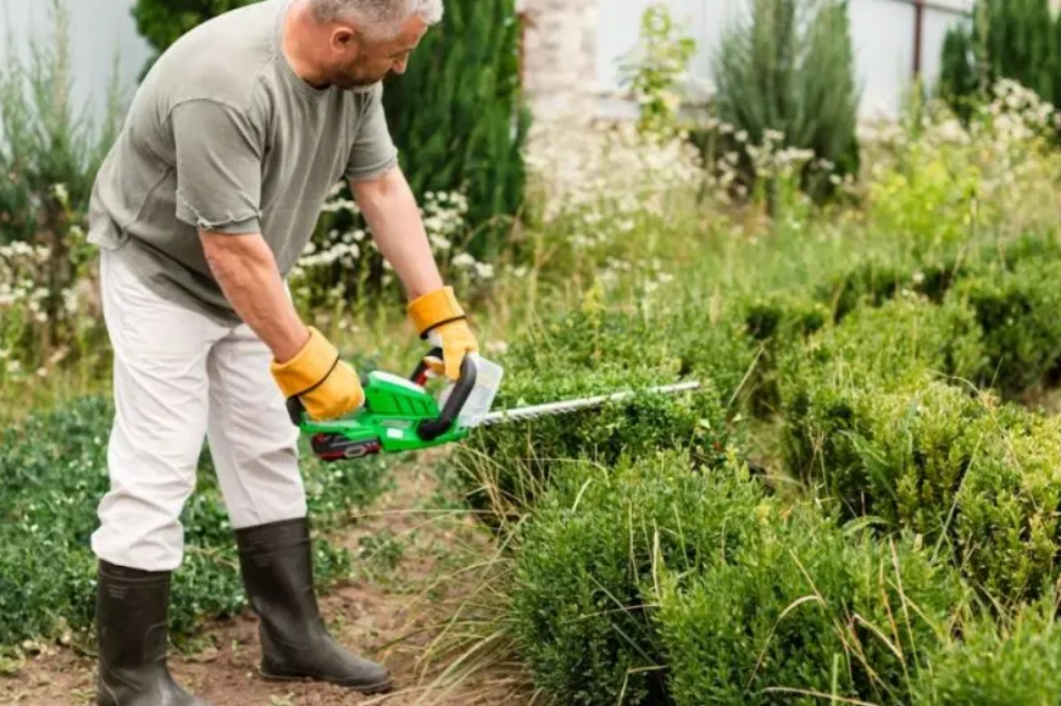 修剪花草技巧 修剪花草技巧