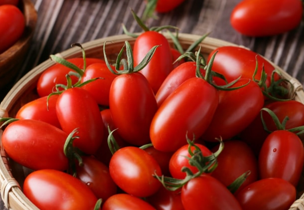 最好吃番茄 最好吃番茄
